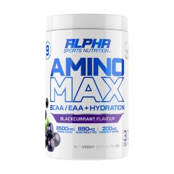 AMINO MAX // 360g