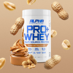 PRO+ WHEY // 800g