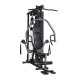  Horizon Home Gym Torus 3