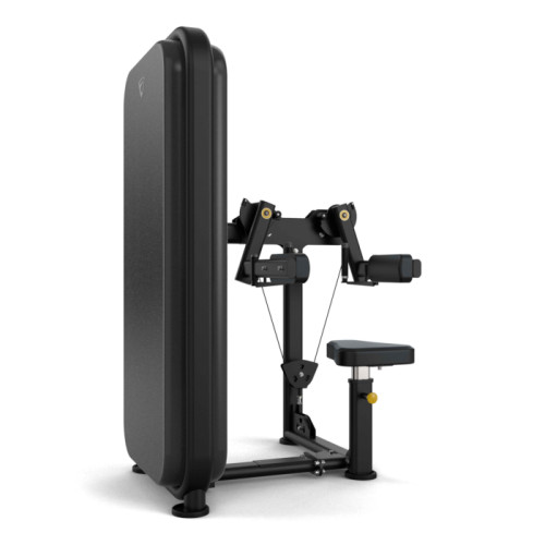 Vision Lateral Raise